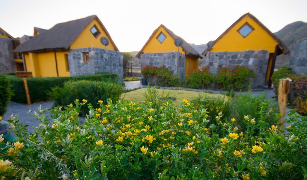 Eco Inn Colca Yanque Exterior photo