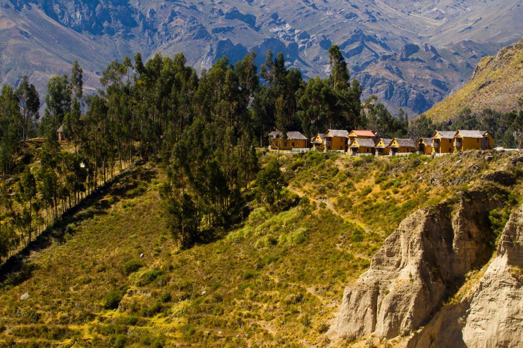 Eco Inn Colca Yanque Exterior photo